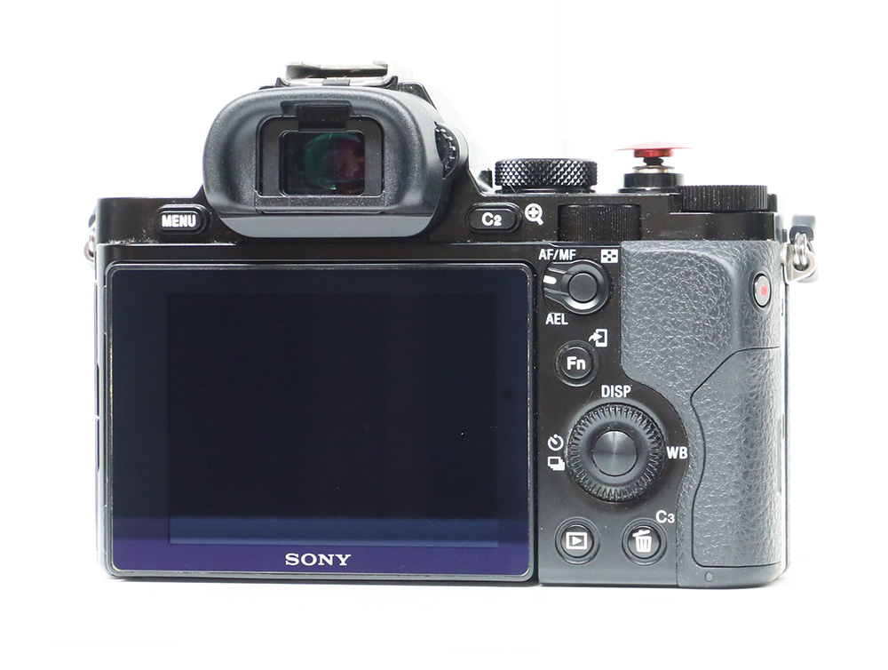 SonyBack.jpg