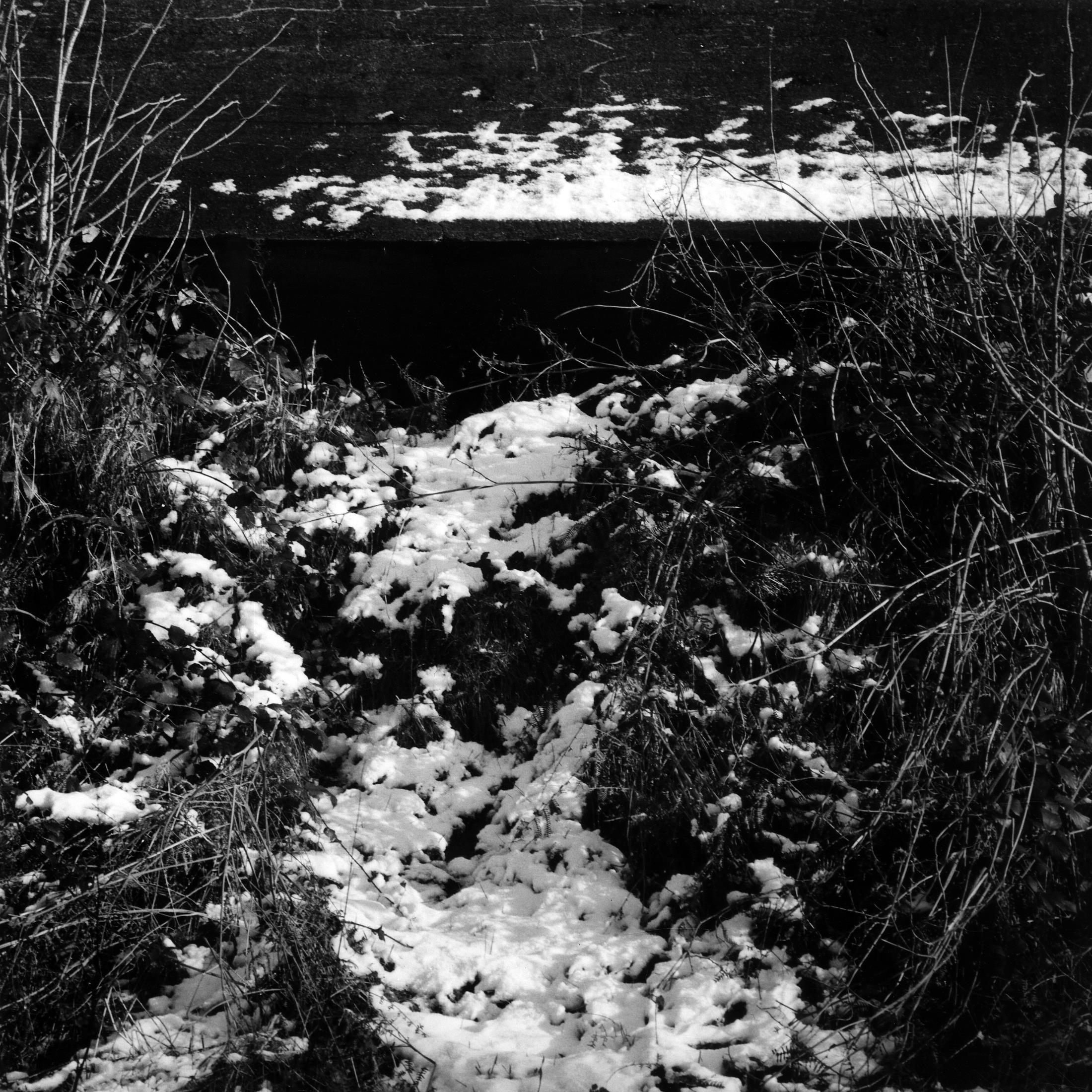 Sortosville Bunker 2.jpg