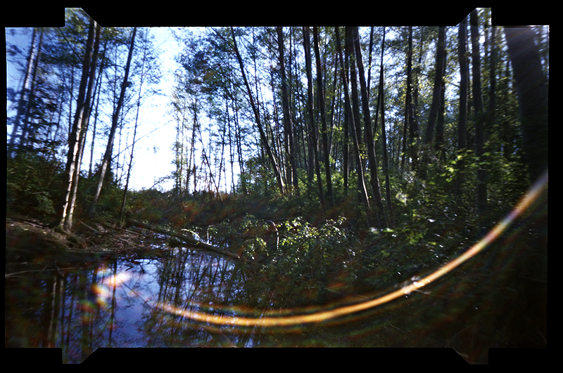 south arms pinhole 3 res.jpg