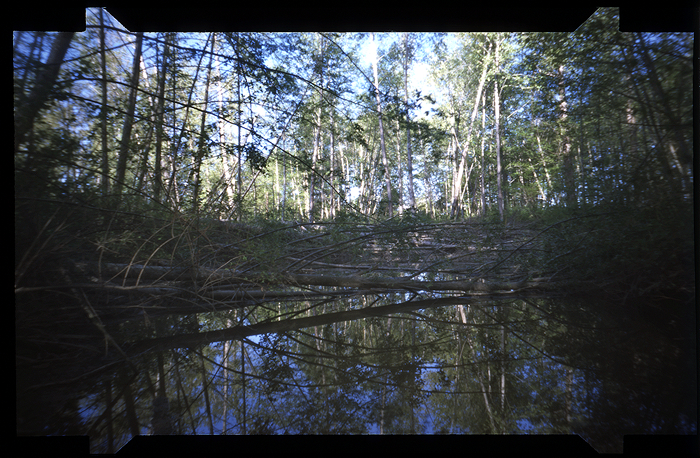 South Arms Pinhole-res2.jpg