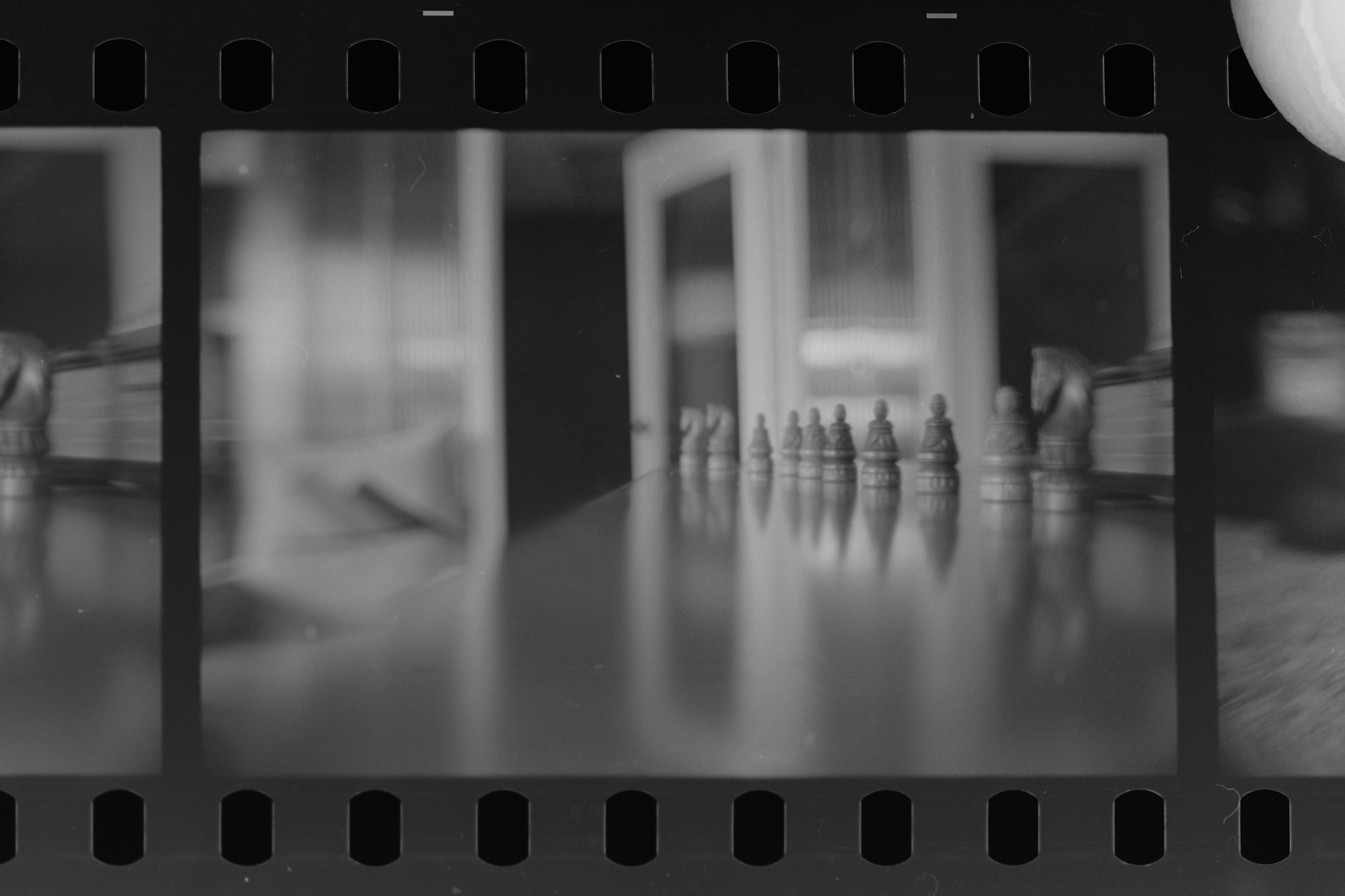 SP Negative 2.jpg