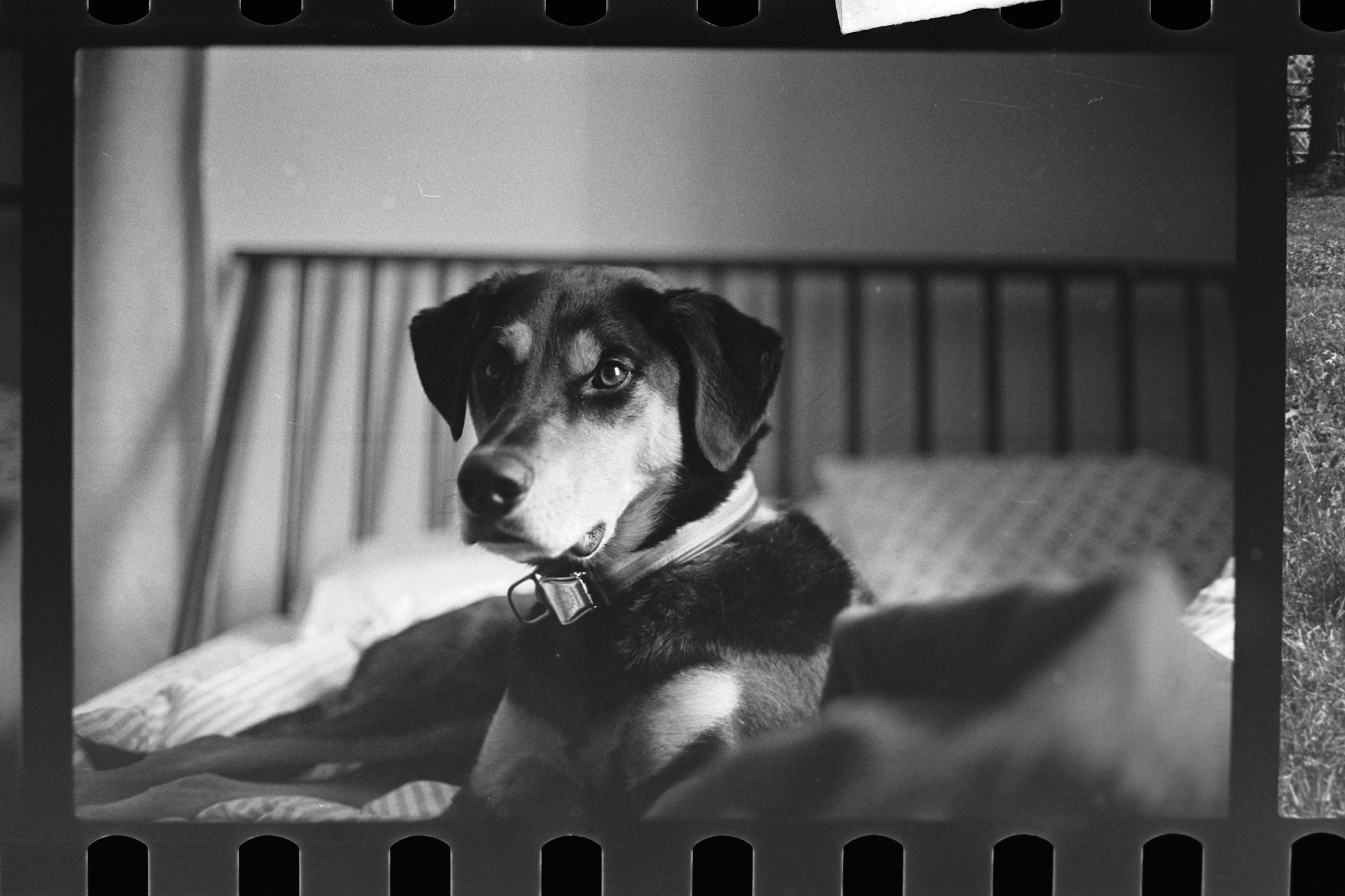 SP Negatives fix 1.jpg