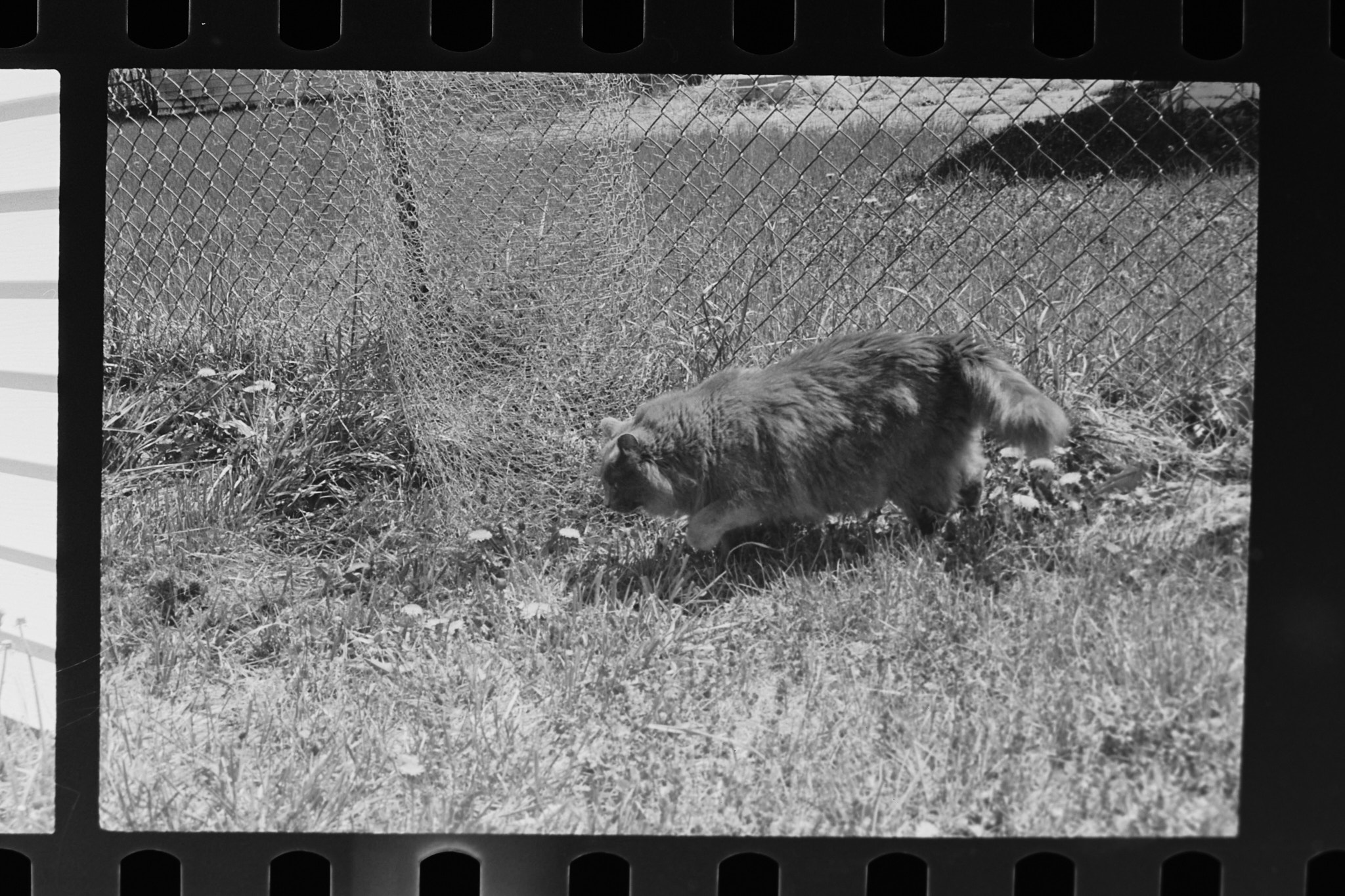 SP Negatives fix.jpg