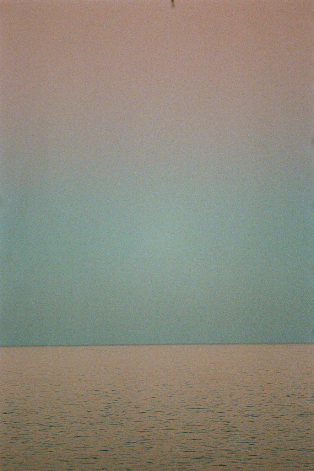 speck3.jpg