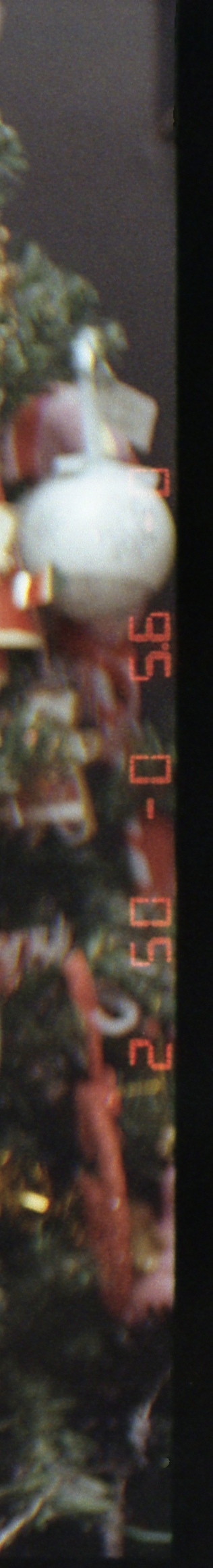 Right side of the imprint, about the full height of the negative. Colours of the might not be representitive of a good exposure, this is a roll of colorplus200 I decided to try pushing to 800iso after noticing my 9000AF still wasn't functioning properly and removing it to put into another camera.