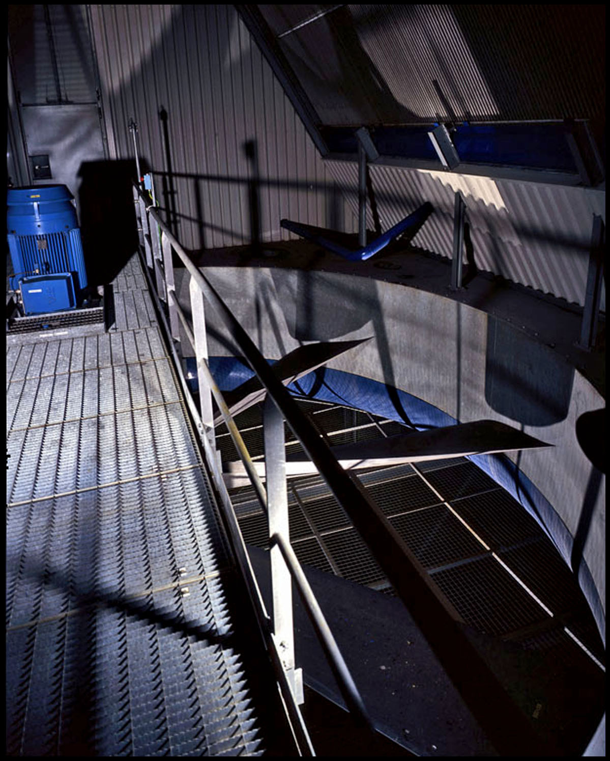 STEG PLANT 16.jpg
