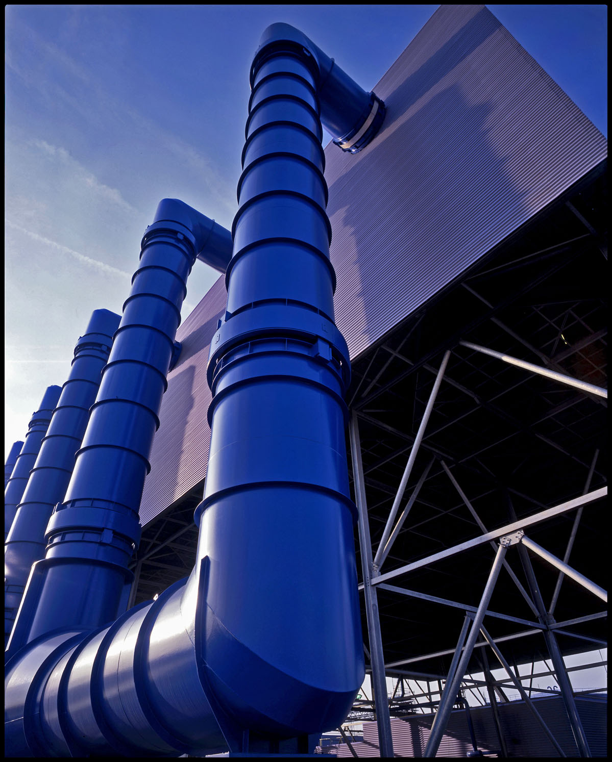 STEG PLANT 18.jpg