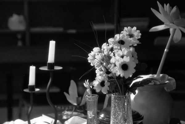 still-life-002.jpg