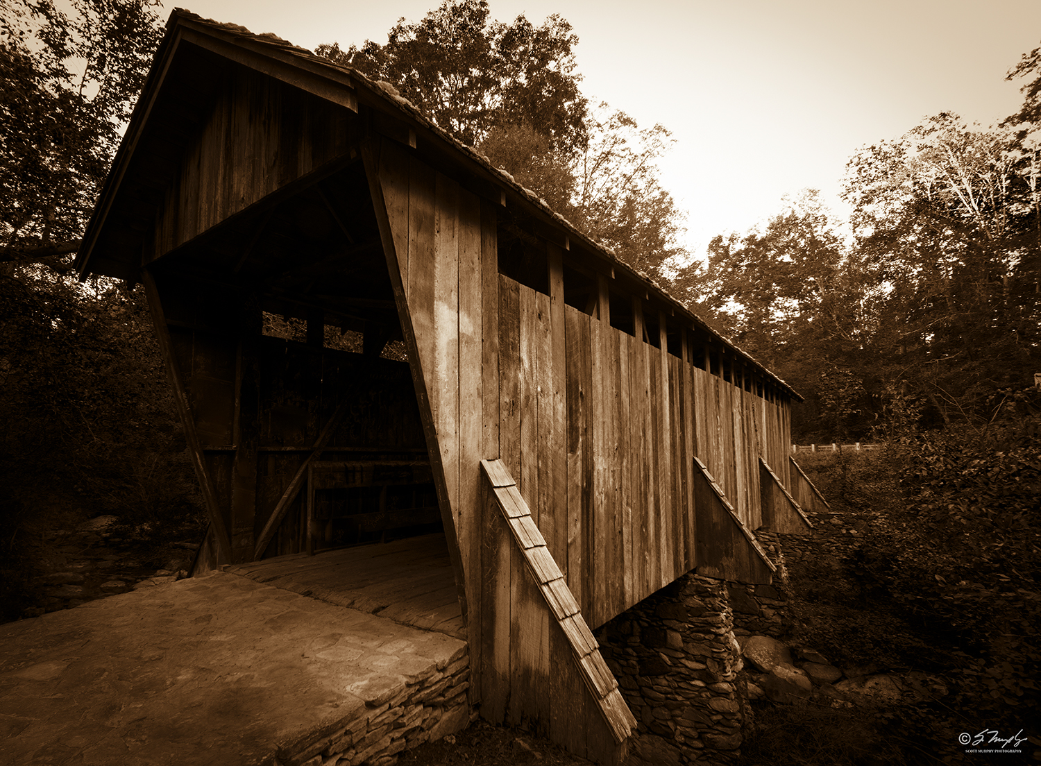 STM_0647 Sepia.jpg