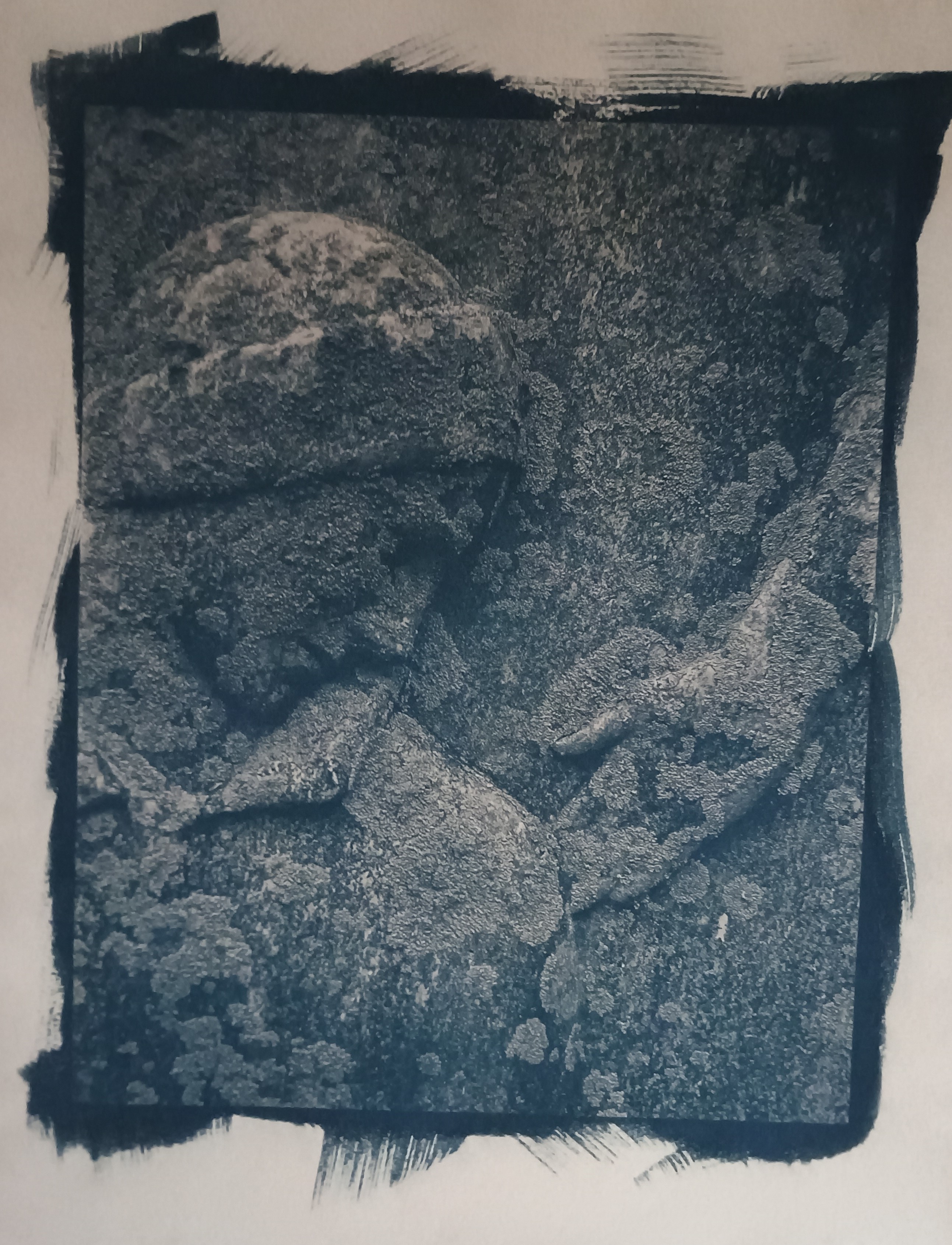 Stone Face (cyanotype toned with wattle-dH2O on Arches Text Wove).jpg