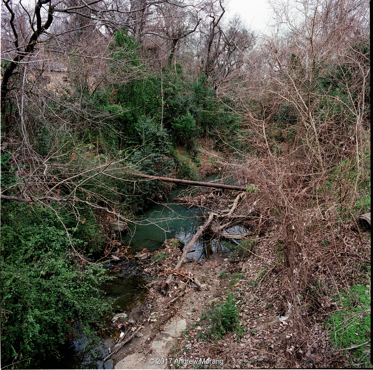 StoutsBayou_LeeSt_Vicksburg_20180107_cleaned_resize.JPG