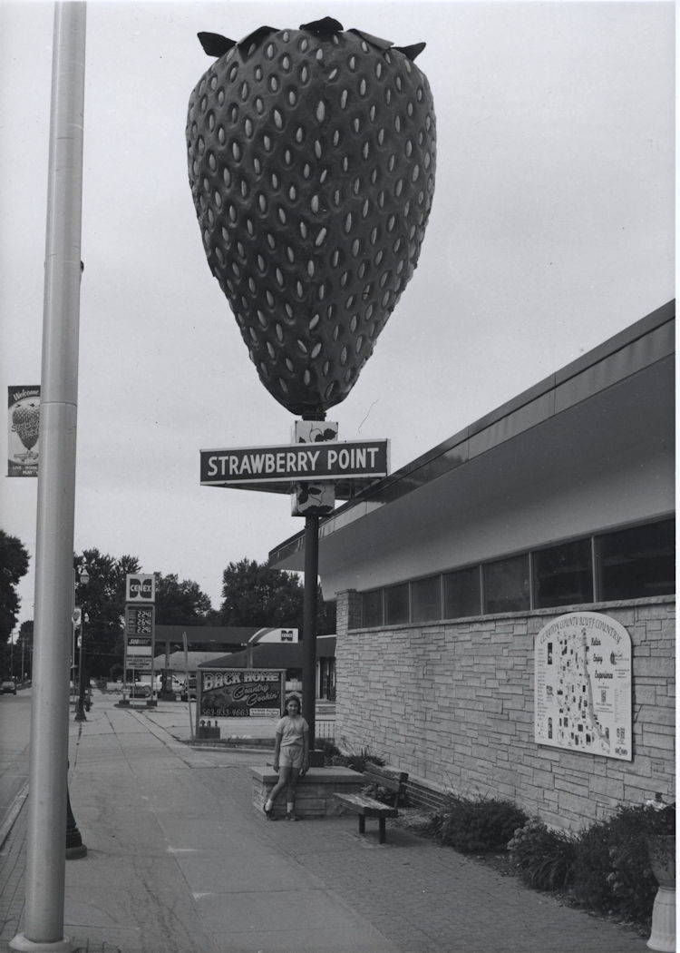 Strawberry Point 50%.jpg