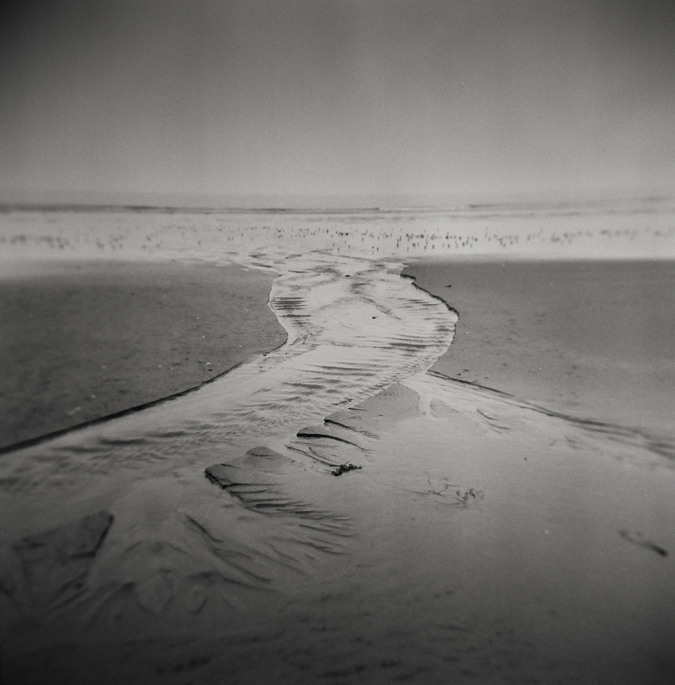 Stream To Sea With Sandpipers.jpg