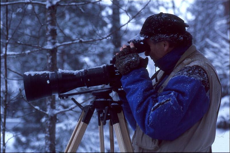 SVG Winter.jpg