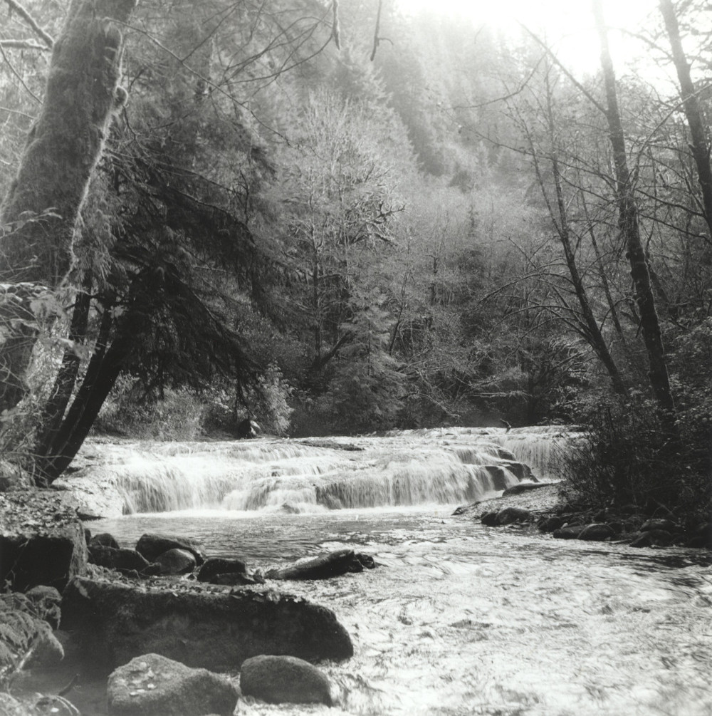 sweet creek 202111122 frame09 print scaled.jpg