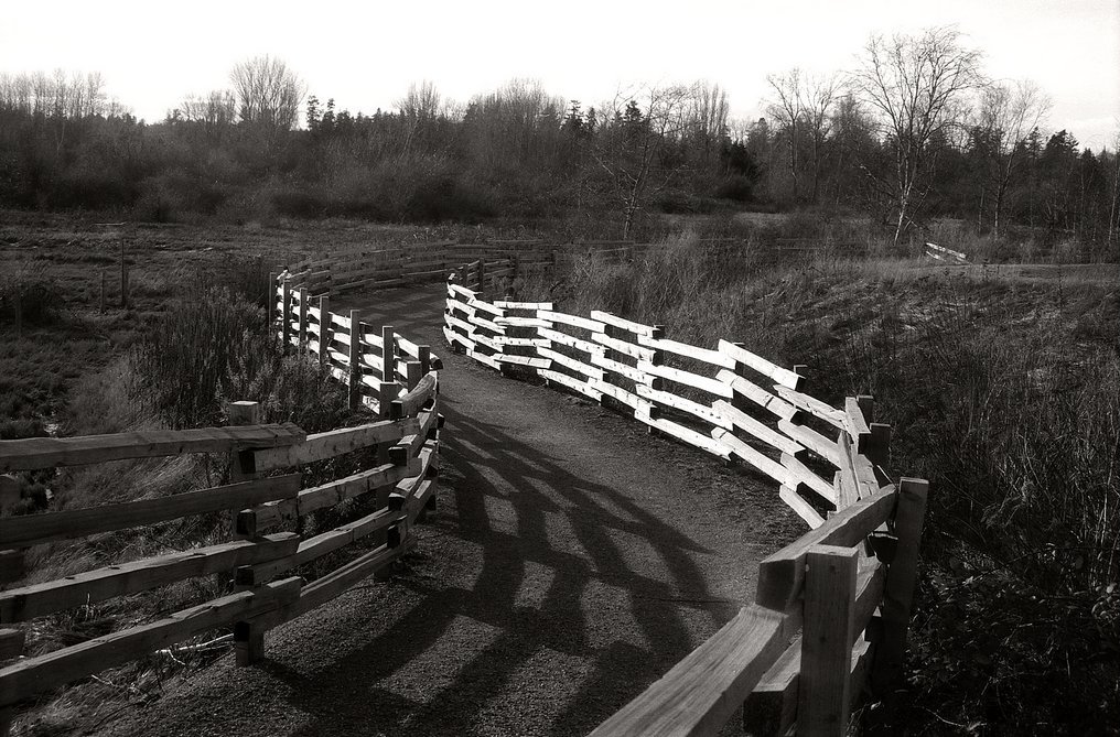 swoop 1-10d-2023-01-10-res 1024.jpg