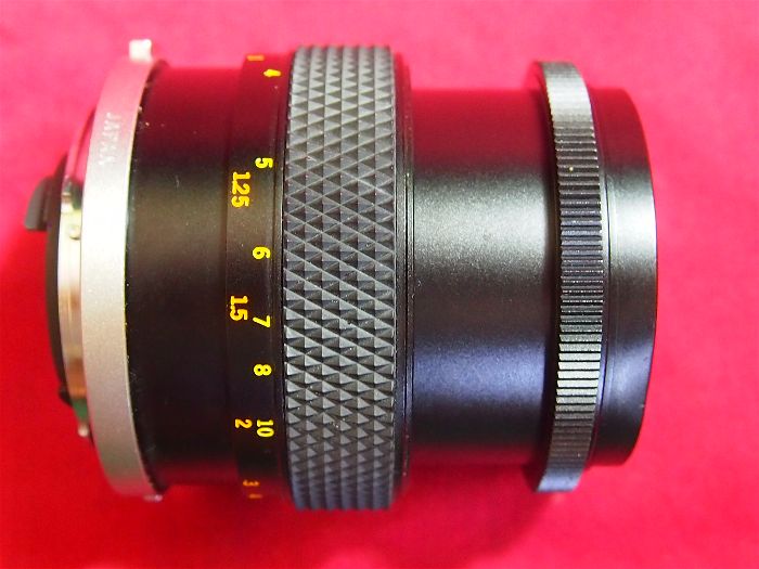 T0009289-opt.jpg