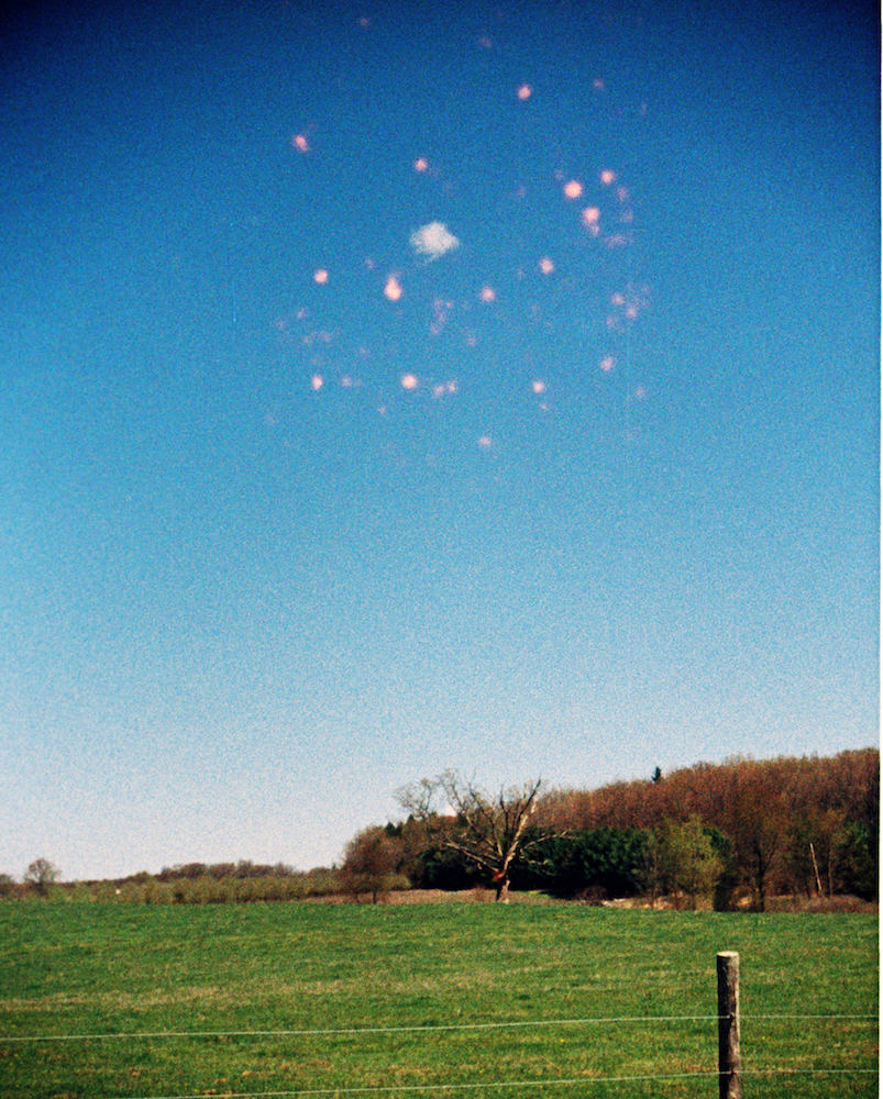 t016.jpg