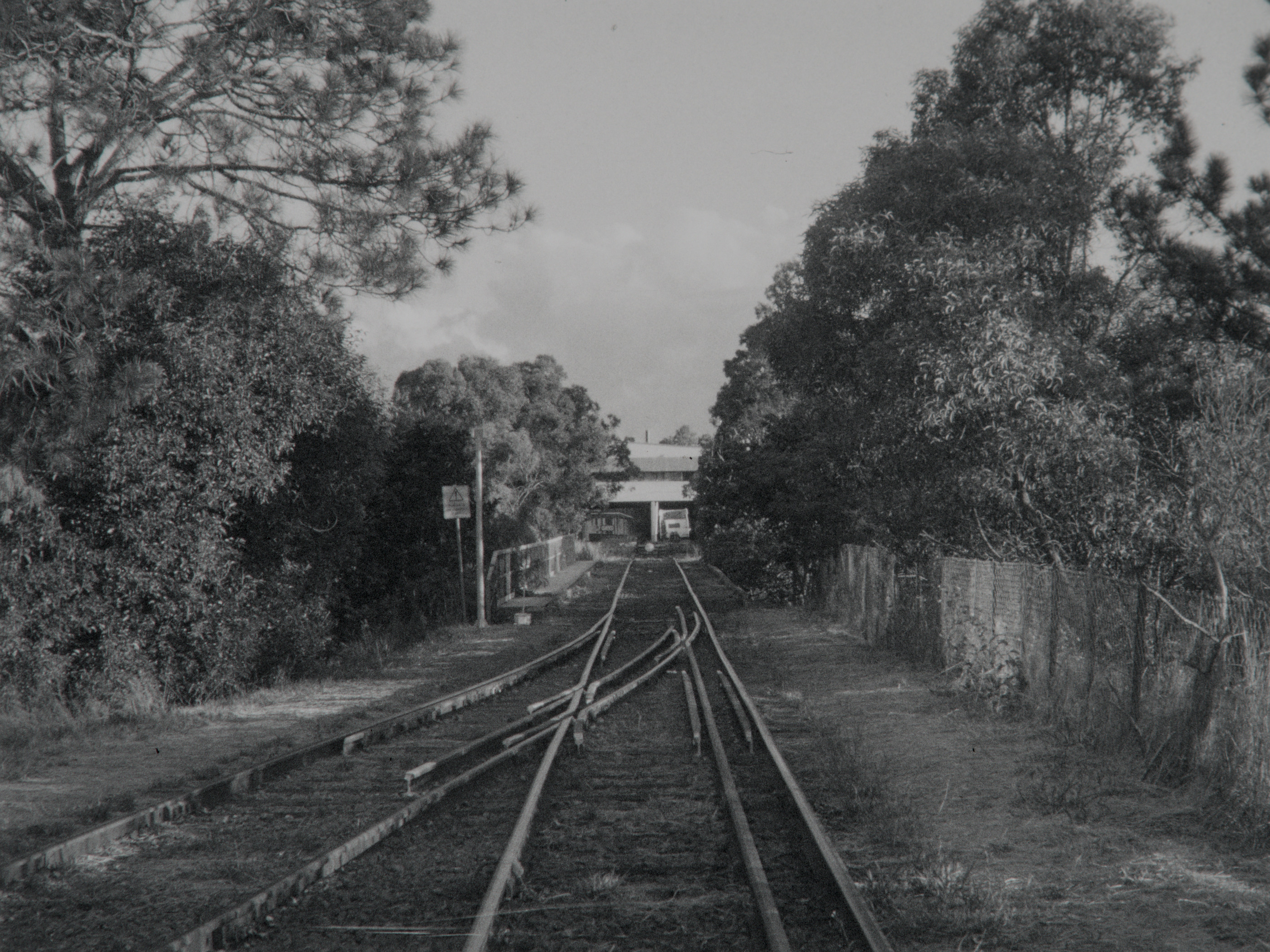 T1010028.jpg