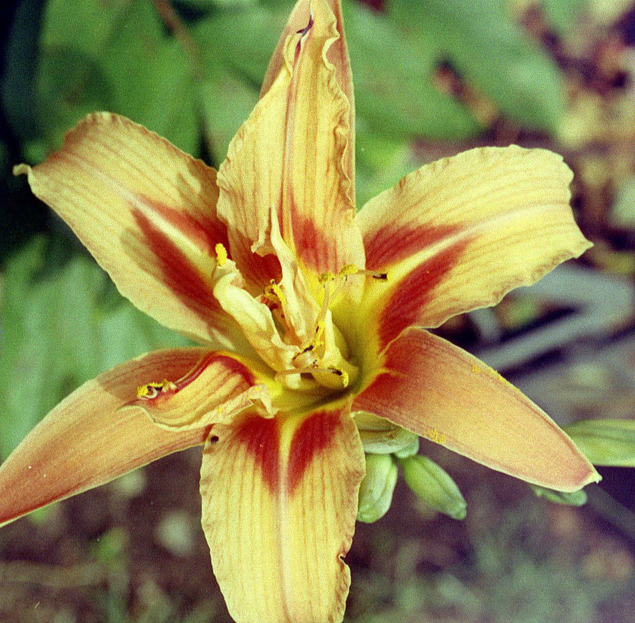 Test 01.jpg