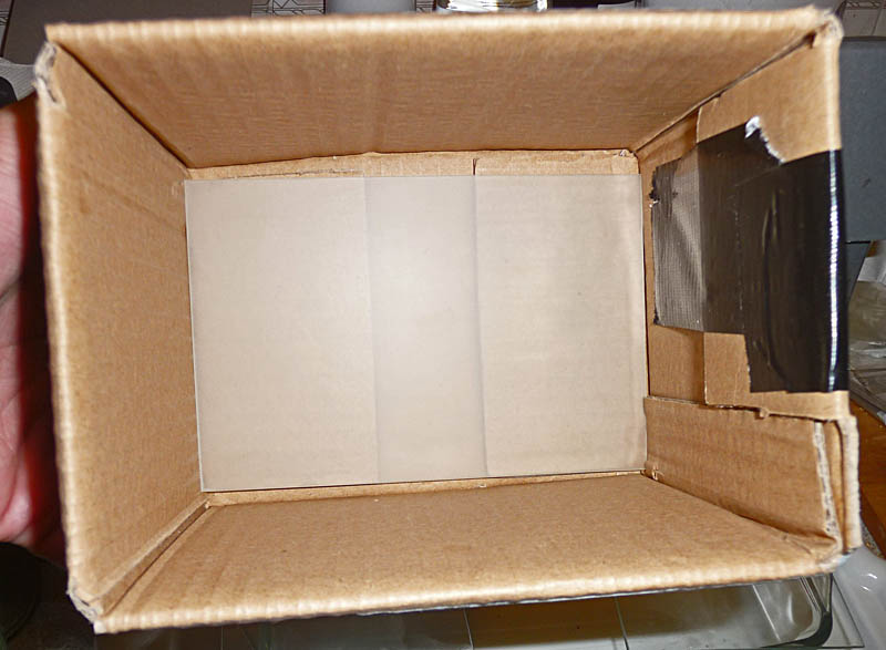 Test Camera 03.jpg
