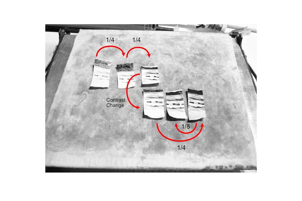test strips.JPG