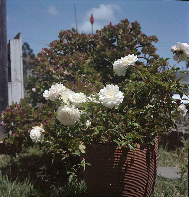 test036 copy 2.jpg