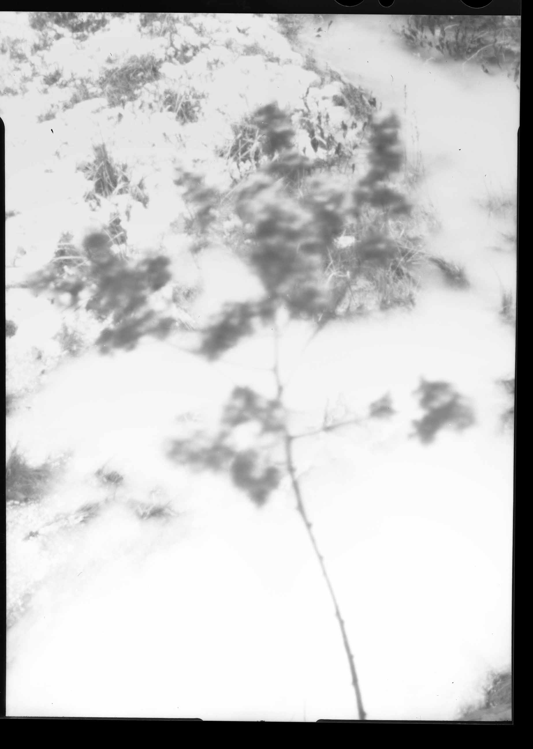 test3.jpg