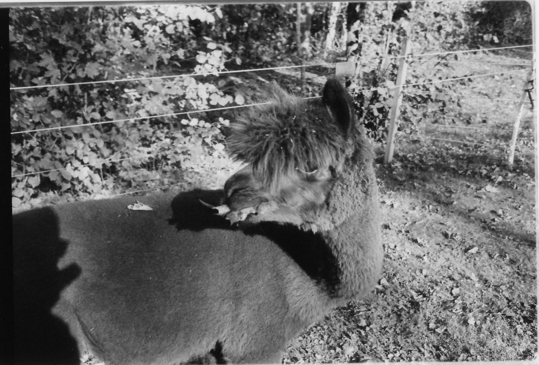 testscan_0011.jpg