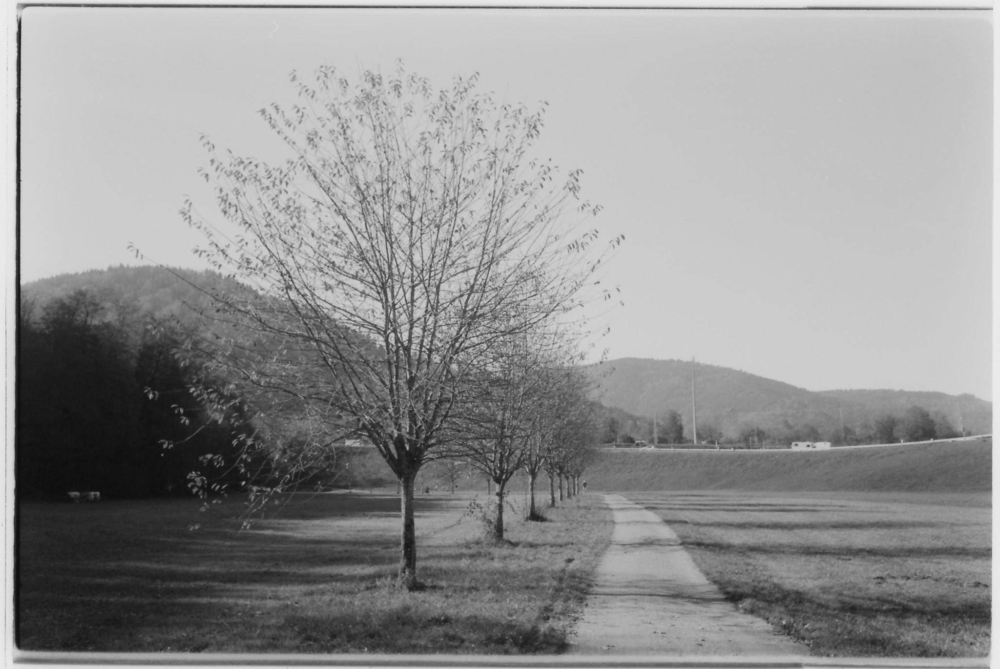 testscan_0013.jpg