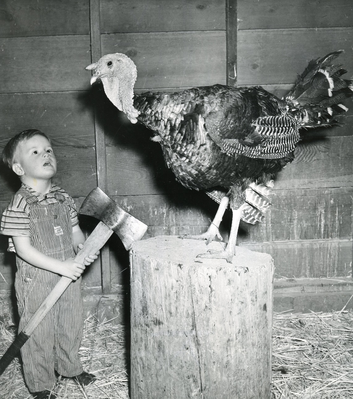 Thanksgiving Billy Gothman 1940 D.D. Teoli Jr. A.C. lr.jpg