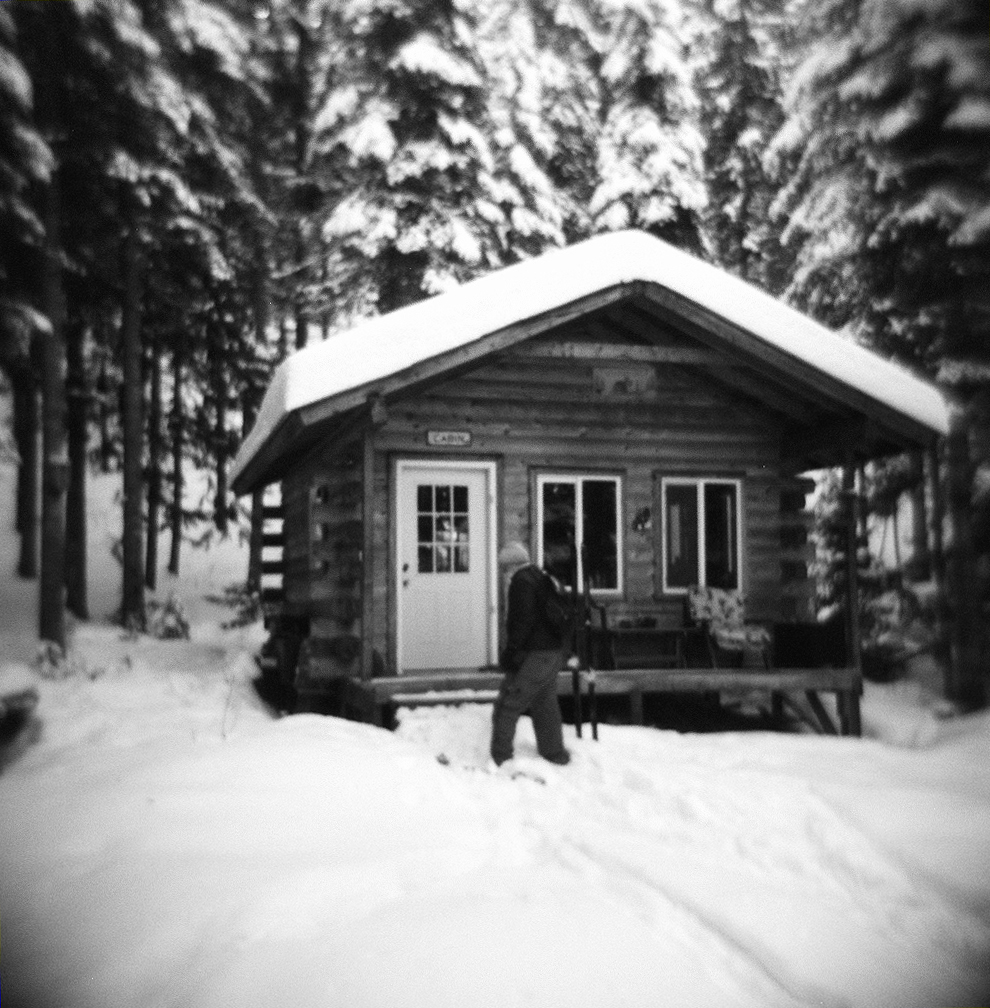 The Mycologist Cabin.jpg