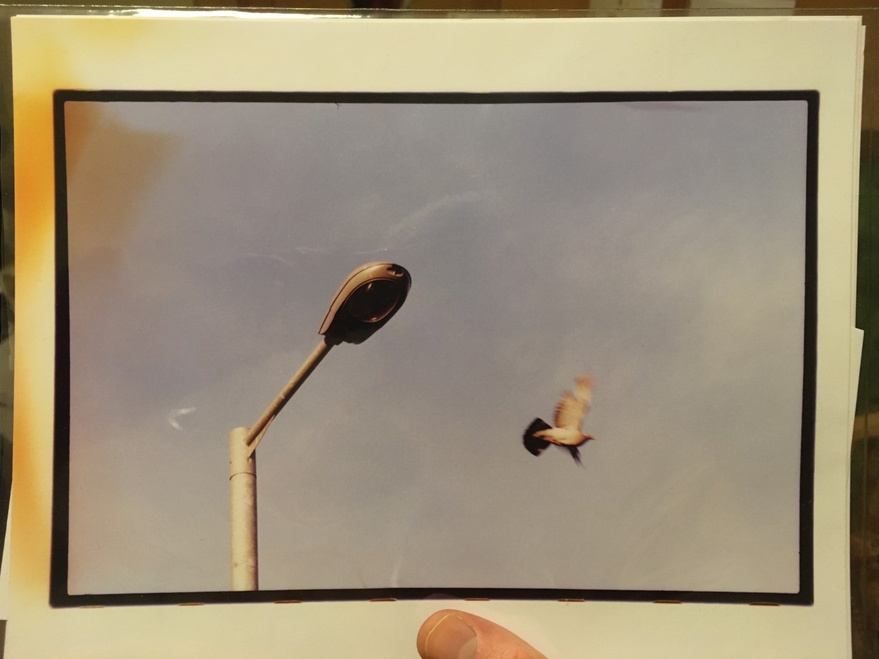 thumbnail_image1.jpg