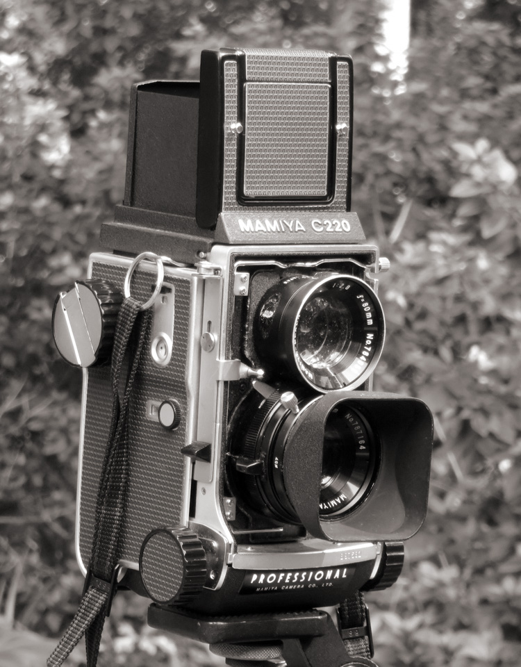 TLR01.jpg