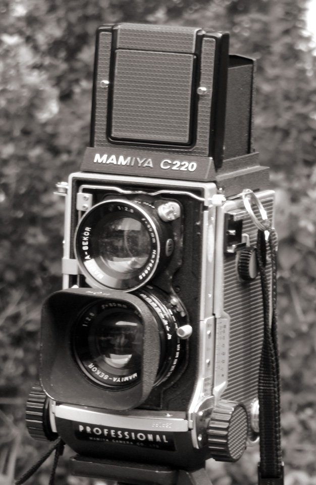 TLR02.jpg