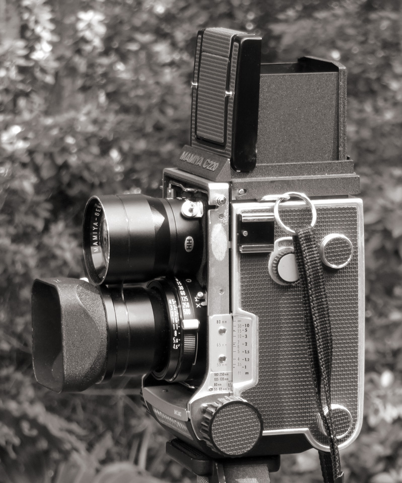 TLR03.jpg
