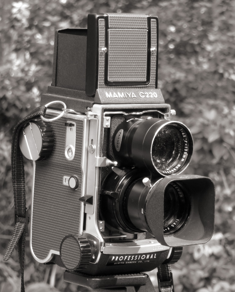 TLR04.jpg