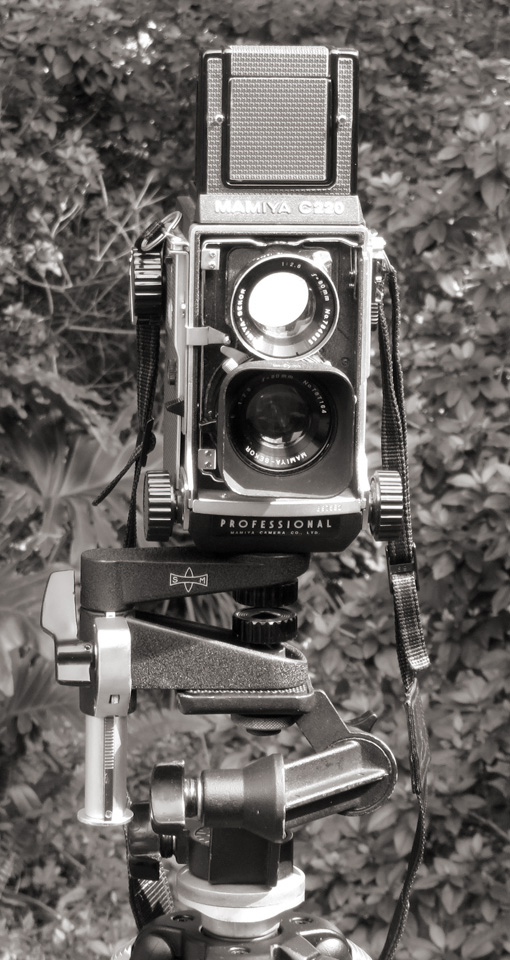TLR06.jpg