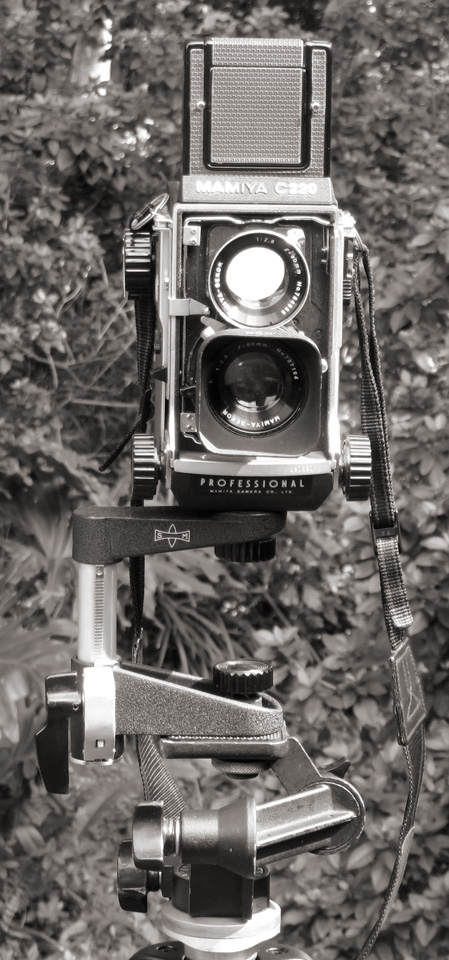TLR07.jpg