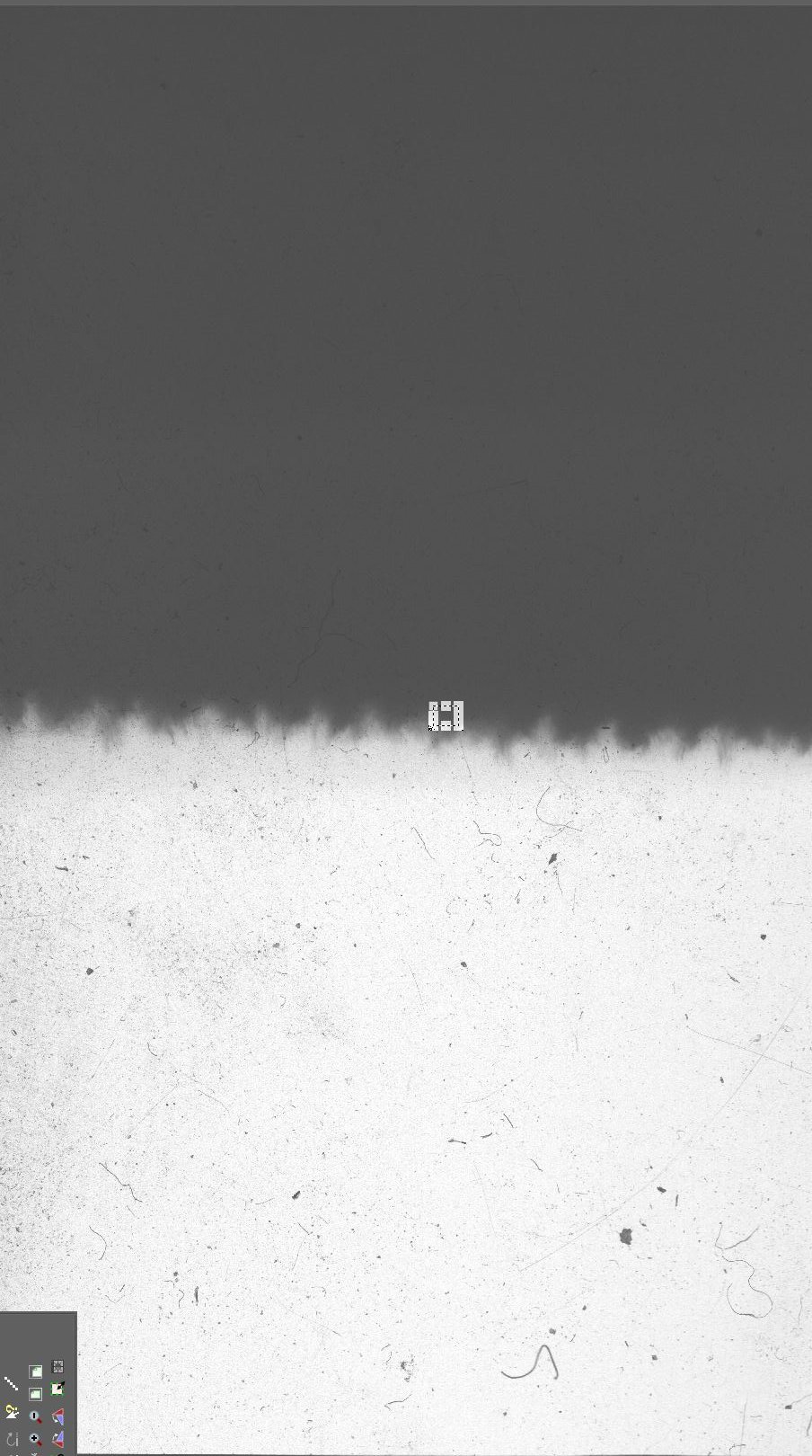tmax 8 bit scan full slide showing showing crop area.JPG
