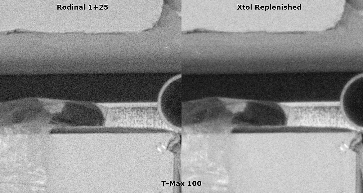 TMX_Grain.jpg
