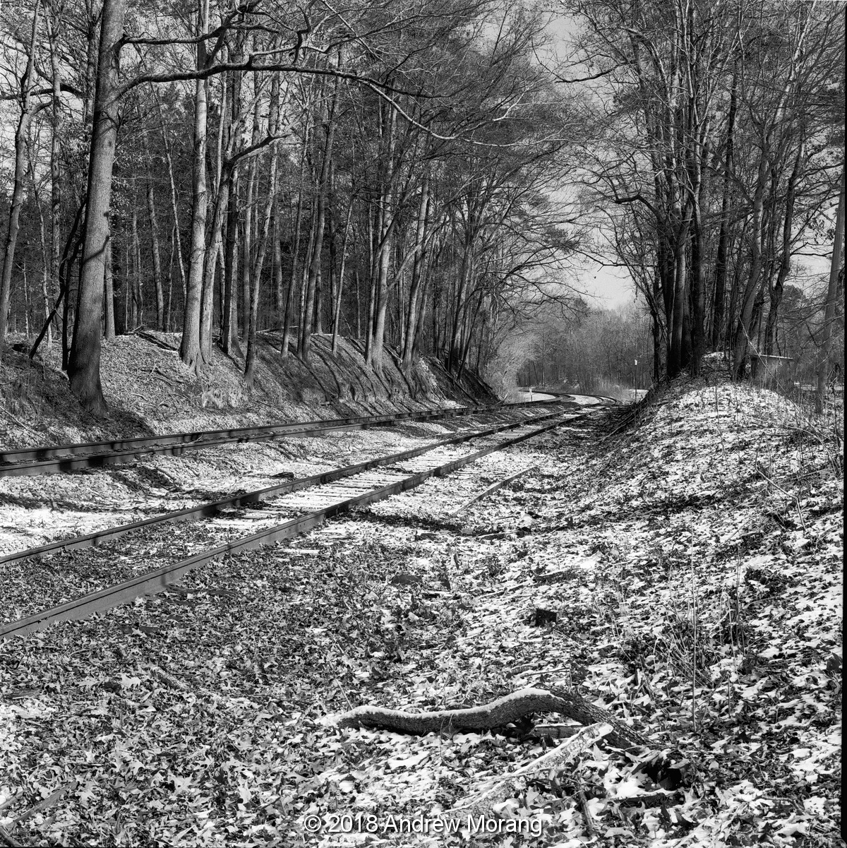 Tracks_WarriorsTrail_Bovina_20180117.JPG