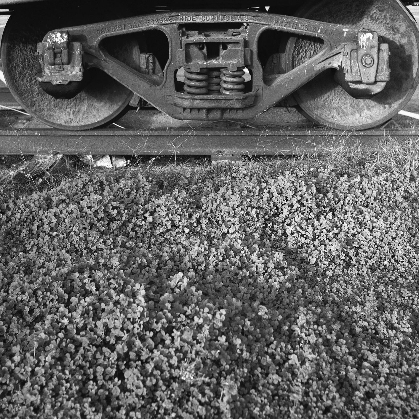 Train Resized.jpg