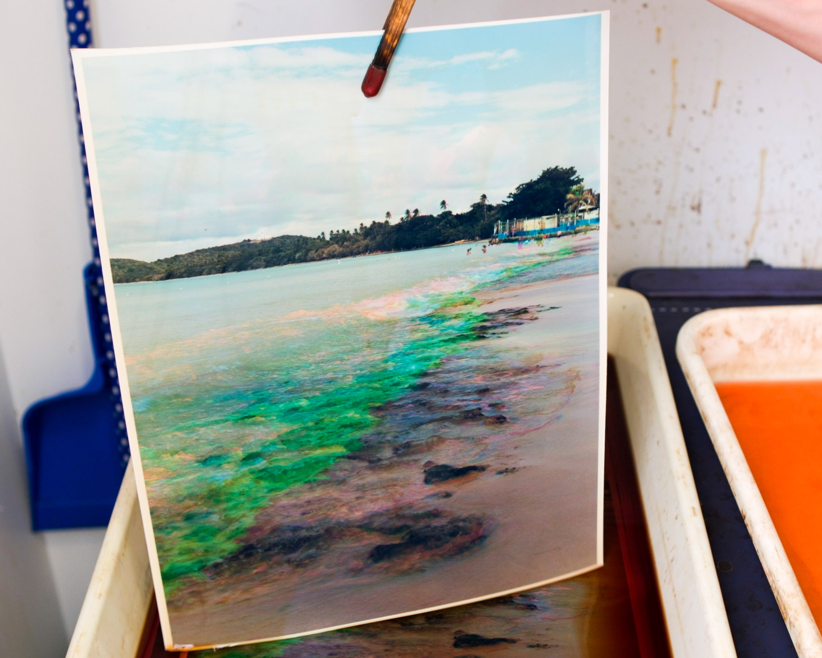 Trichrome Print-4.jpg