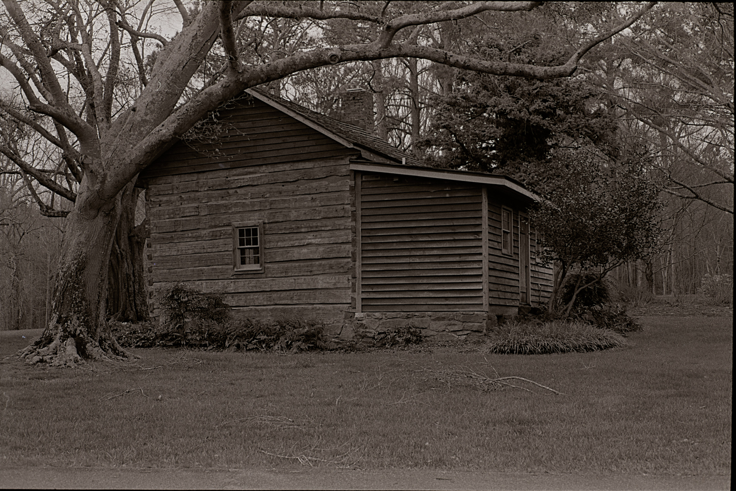 TriX-001-32.jpg