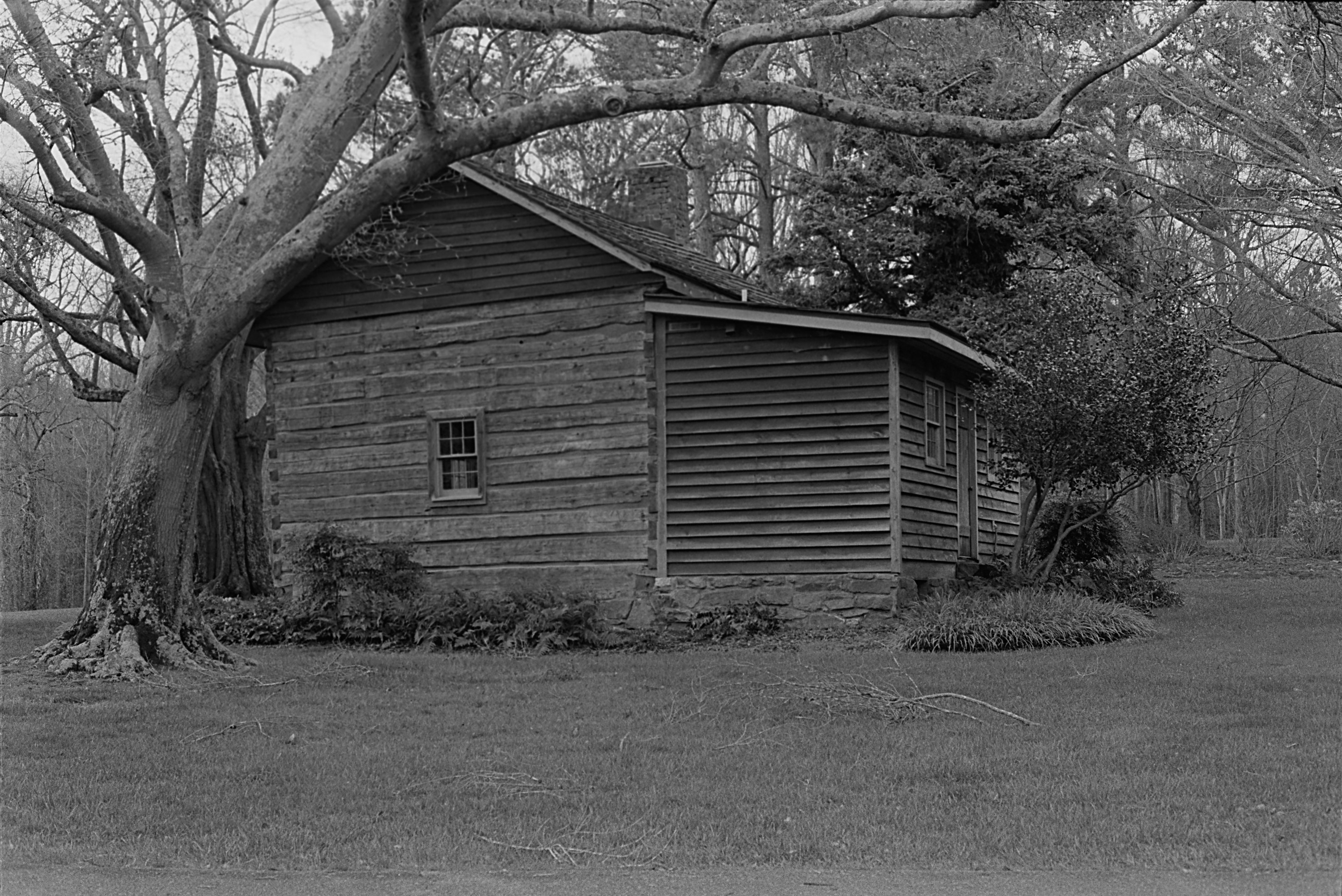 TriX-001-32.jpg