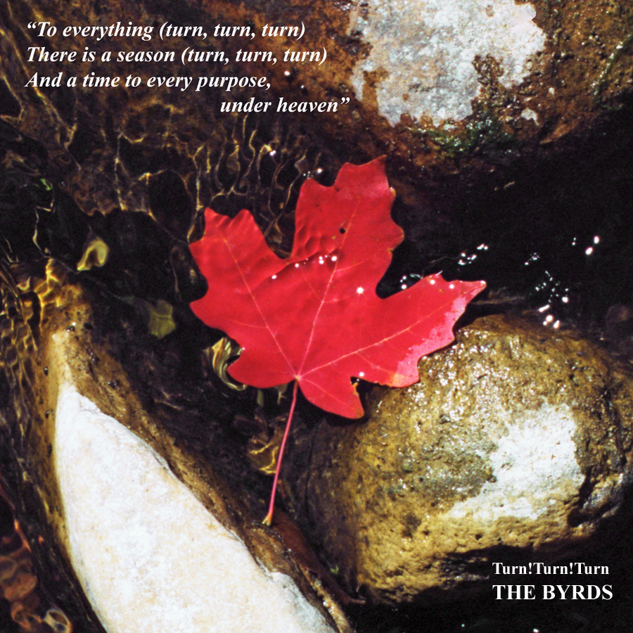 Turn, turn turn .jpg