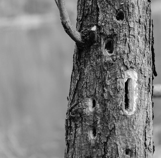 untitled (11 of 11).jpg