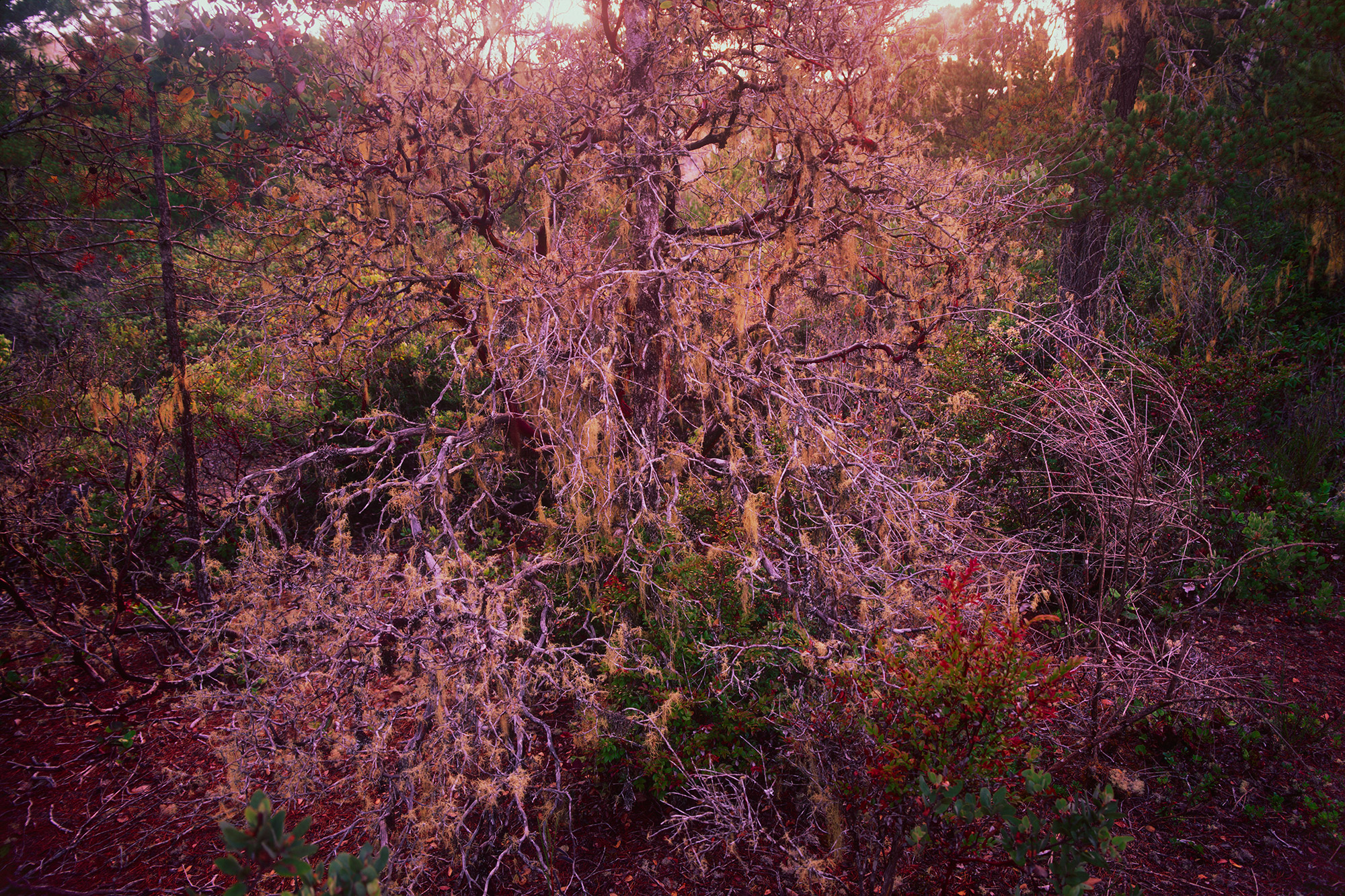 Untitled-(2)-(129).jpg