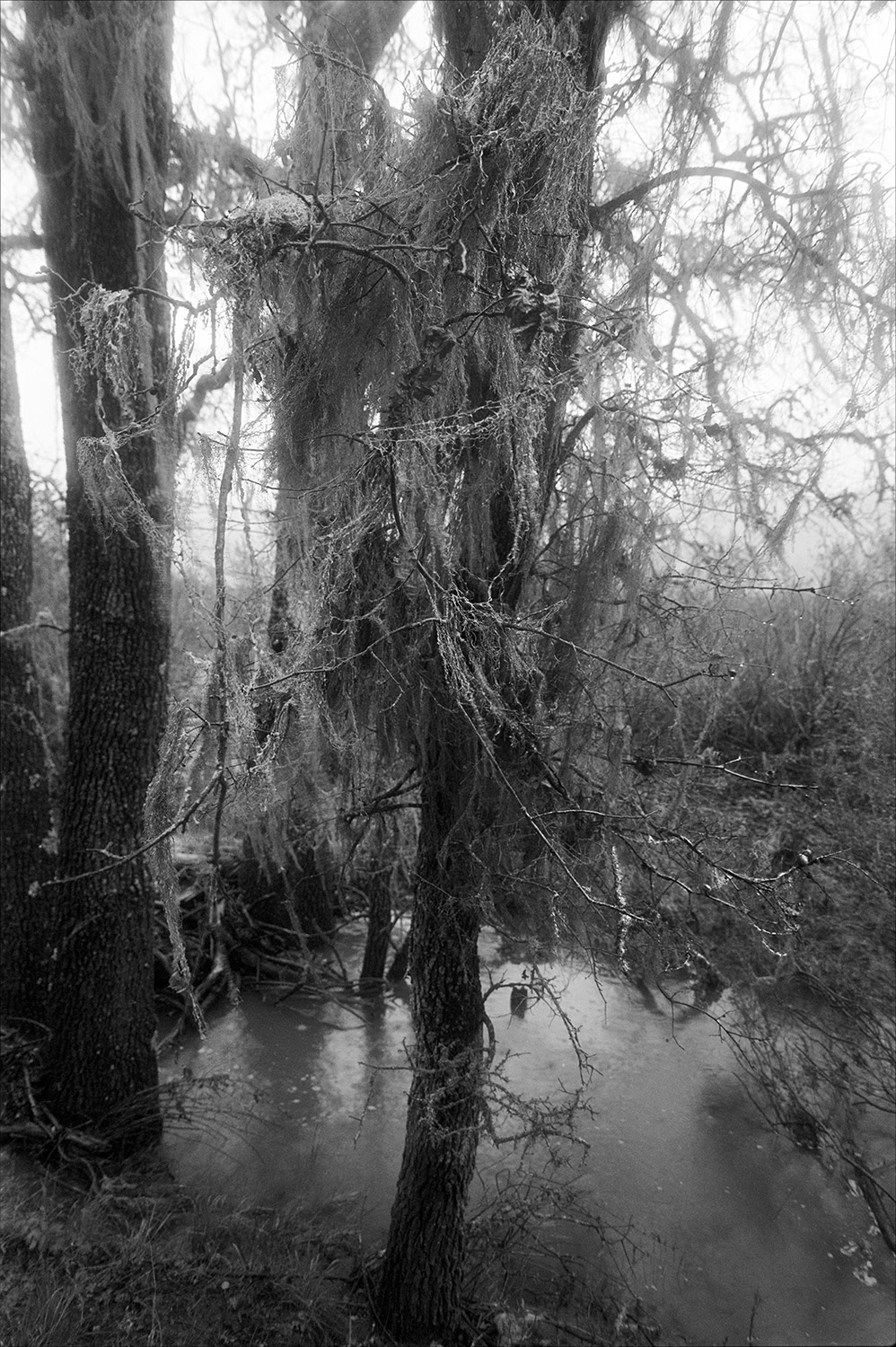 Untitled-(2)-(139)b.jpg